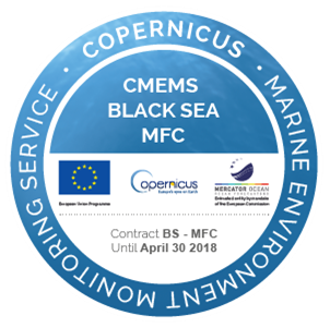 BS MFC Logo