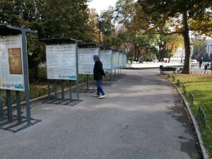 IMG 20201102 105203